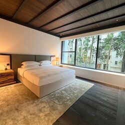21 Anderson (D10), Condominium #589271911